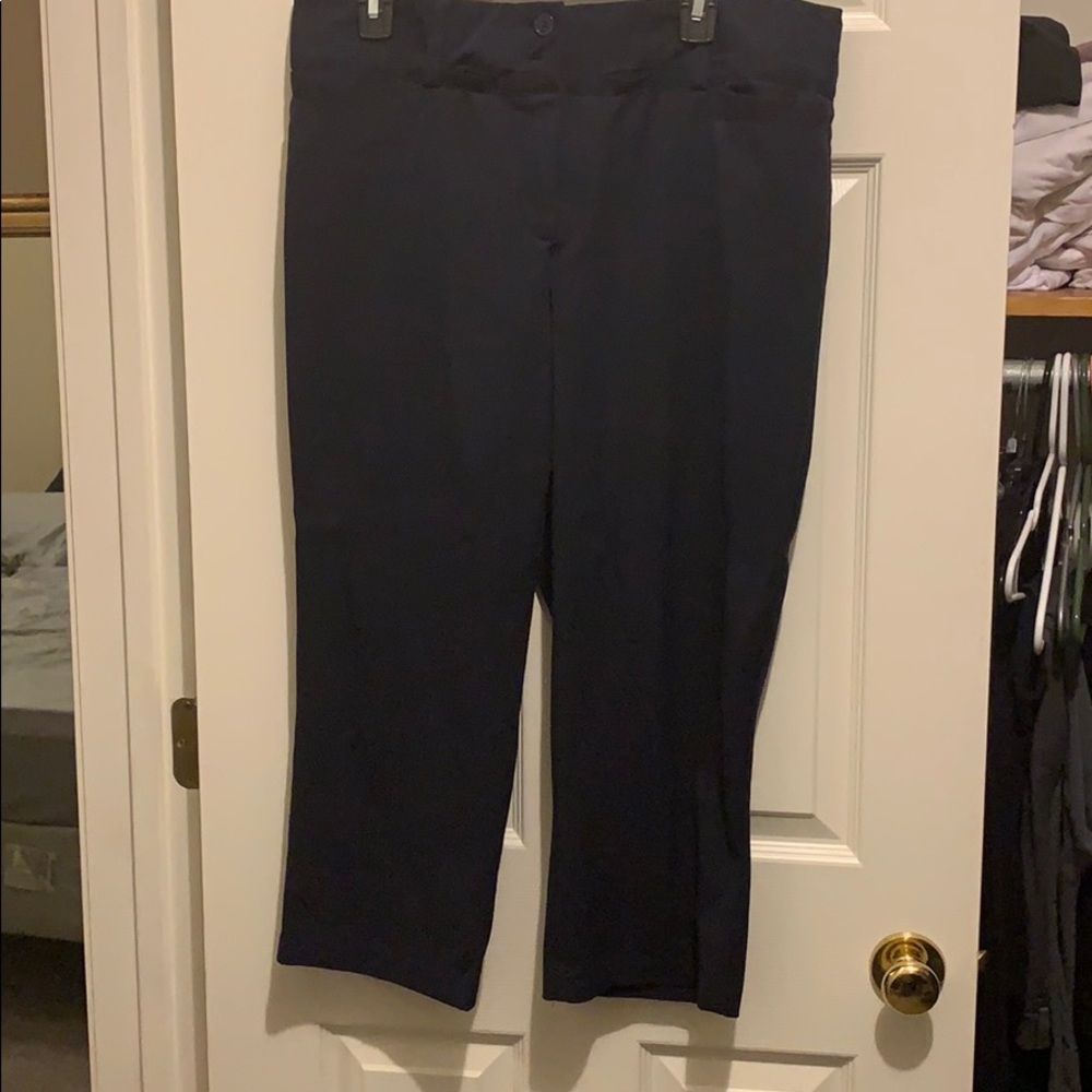 Capri dress pants